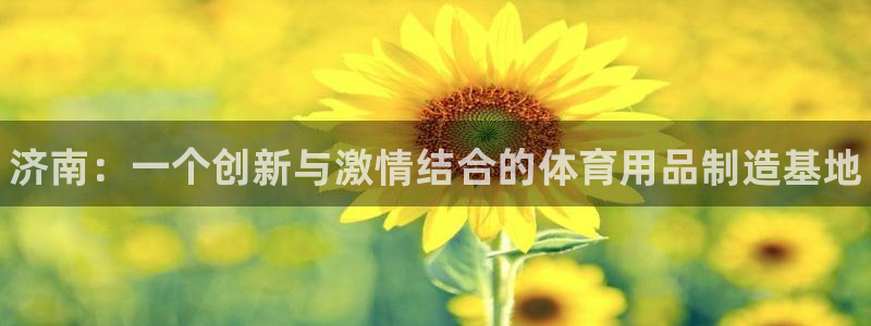 富联地产怎么样知乎:济南:一个创新与激情结合的体育用品制造基